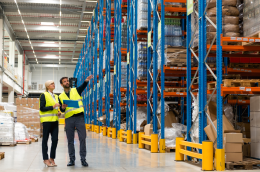 Logistics consultant supporting an SME team in analyzing and optimizing warehouse and supply chain operations.
